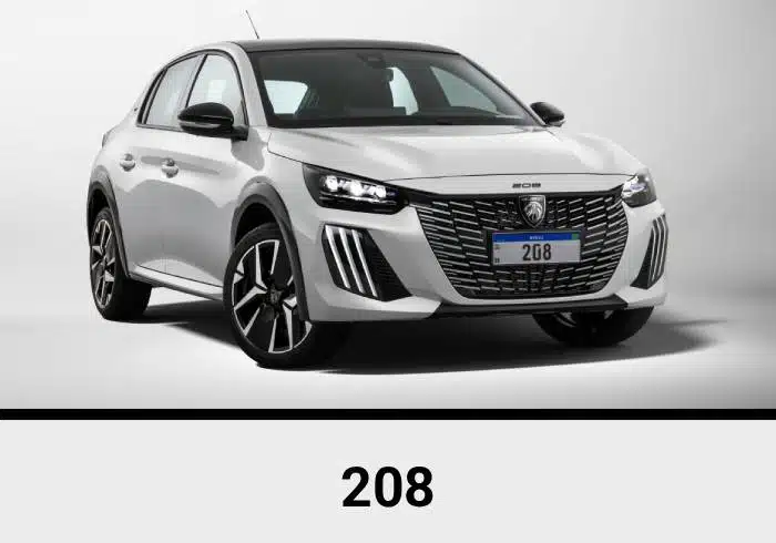 Peugeot Audio Upgrade 6 208.jpg
