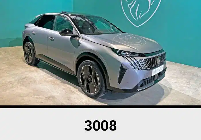Peugeot Audio Upgrade 11 3008.jpg