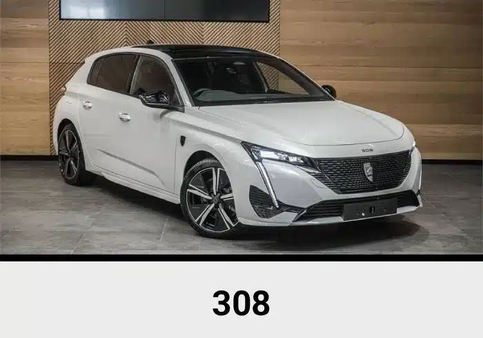 Peugeot Audio Upgrade 7 308.jpg