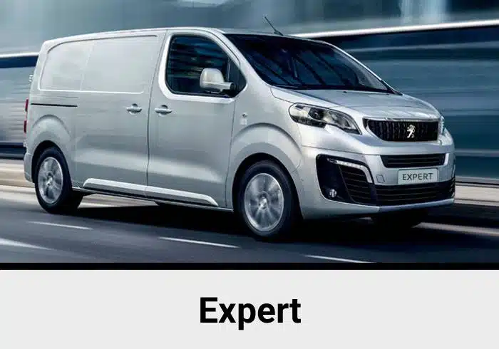 Peugeot Audio Upgrade 13